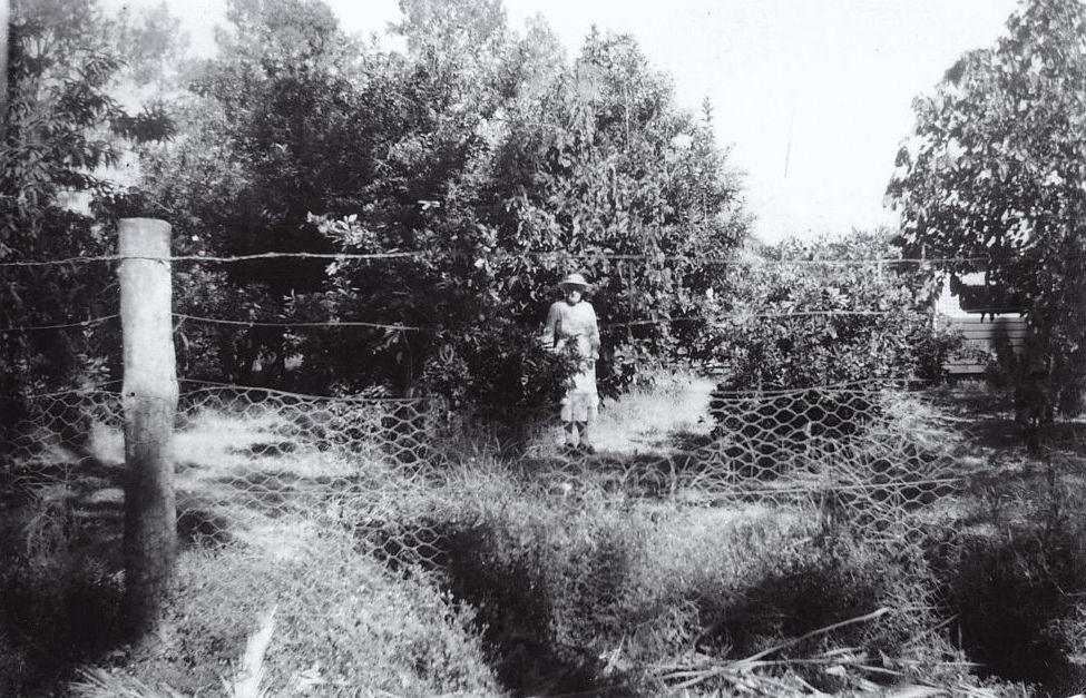 Florence on the farm