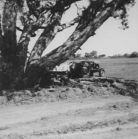 Tractor under a tree