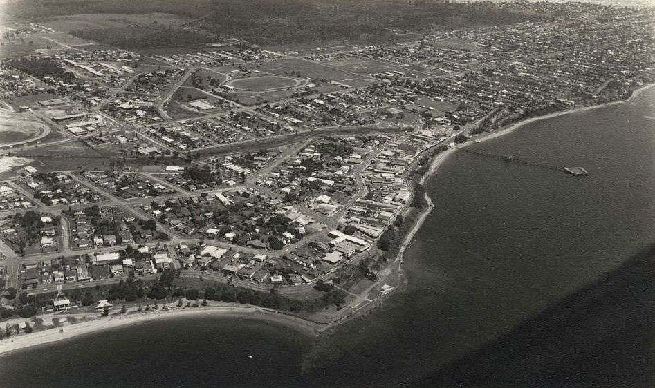 Seagull's view of city