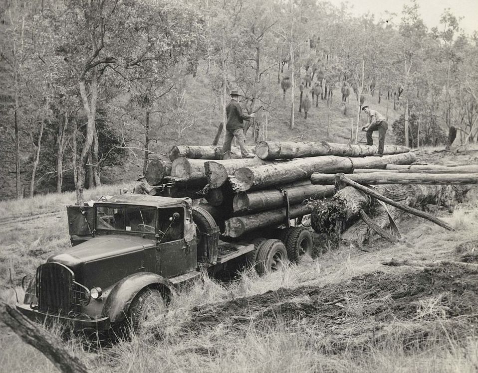 Loading timber