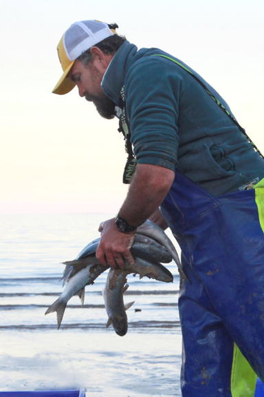 Mullet Run Redcliffe