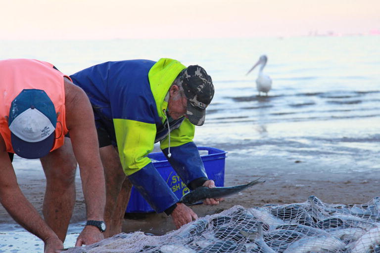 Mullet Run Redcliffe