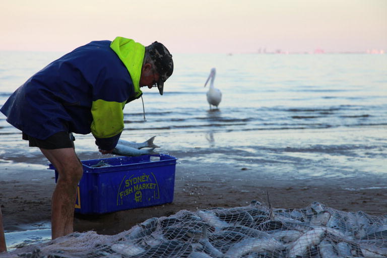 Mullet Run Redcliffe