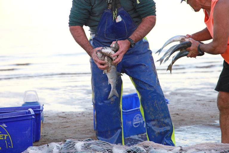 Mullet Run Redcliffe