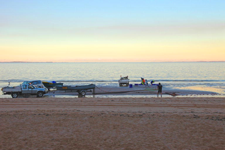 Mullet Run Redcliffe