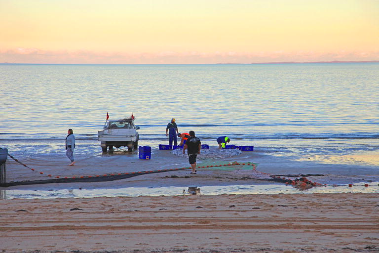 Mullet Run Redcliffe