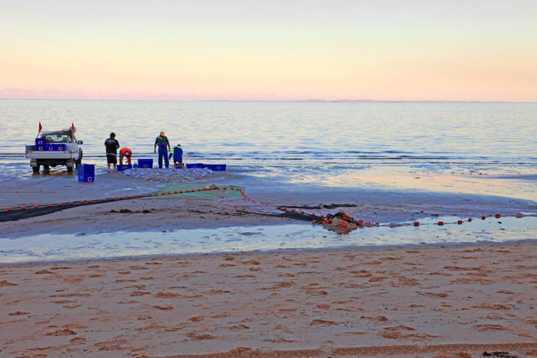 Mullet Run Redcliffe