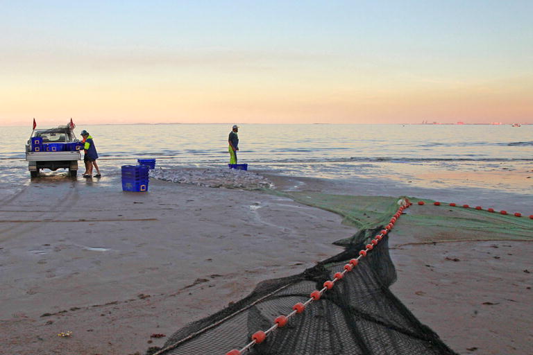 Mullet Run Redcliffe