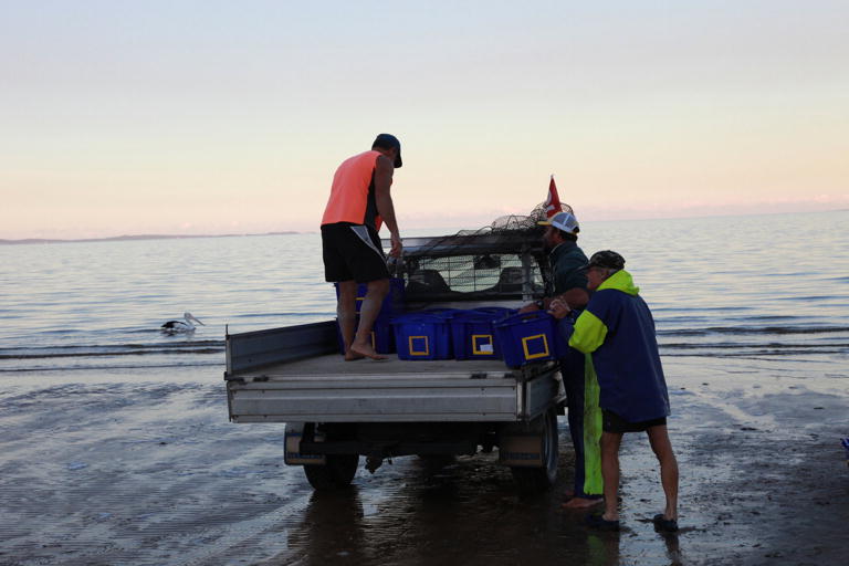 Mullet Run Redcliffe