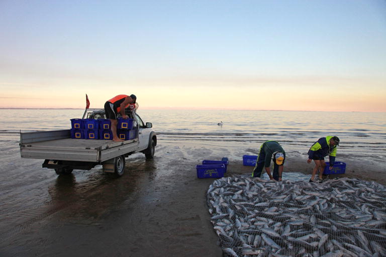 Mullet Run Redcliffe