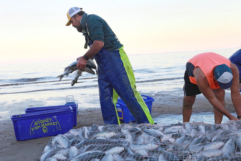Mullet Run Redcliffe