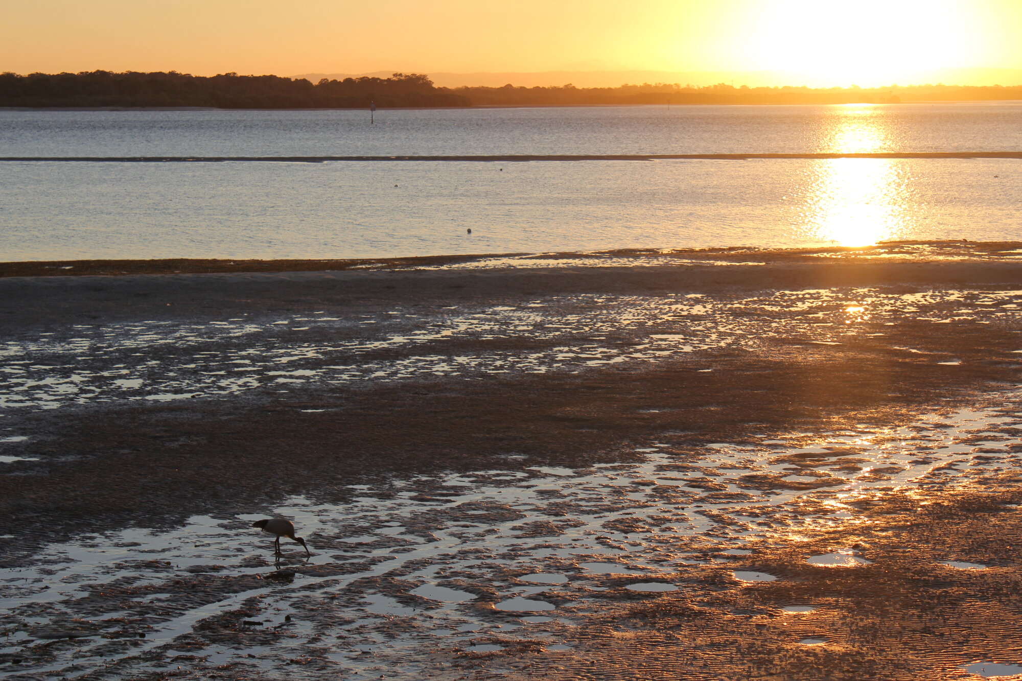 Sunset on Pumicestone Passage - 2011