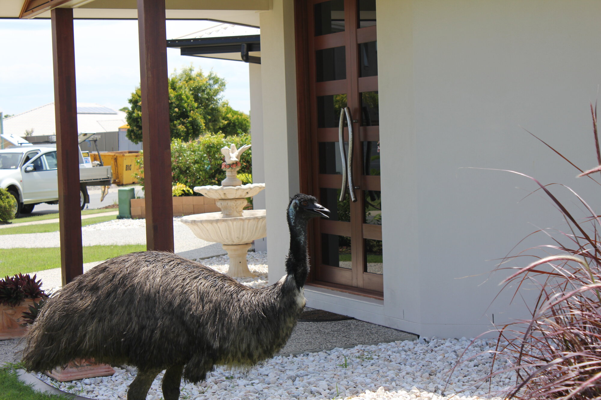 Eric Comes Calling at Pacific Harbour - 2010