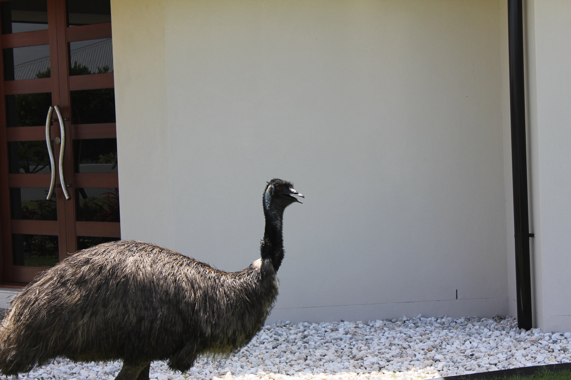 Eric Comes Calling at Pacific Harbour - 2010