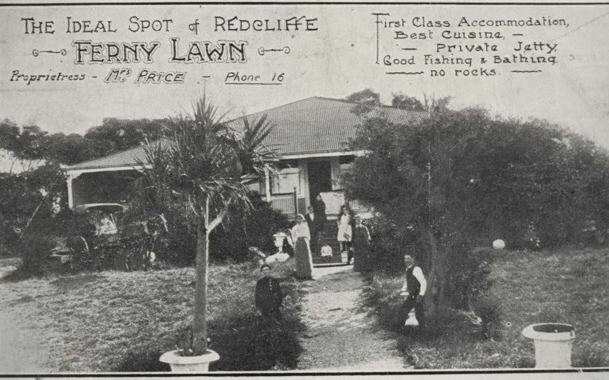Ferny Lawn