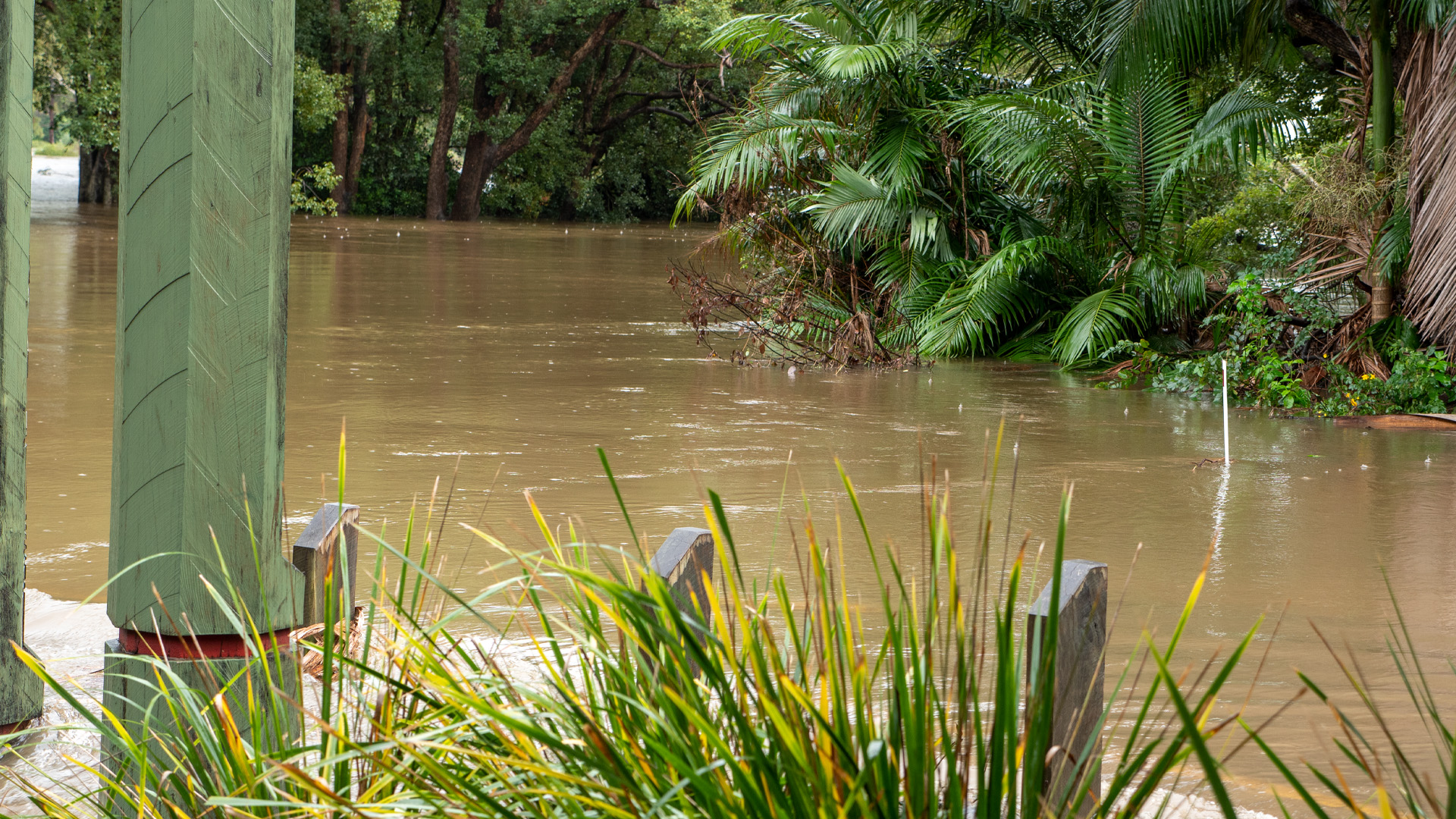 Sweeney Reserve, Petrie - Flooding - May 2022