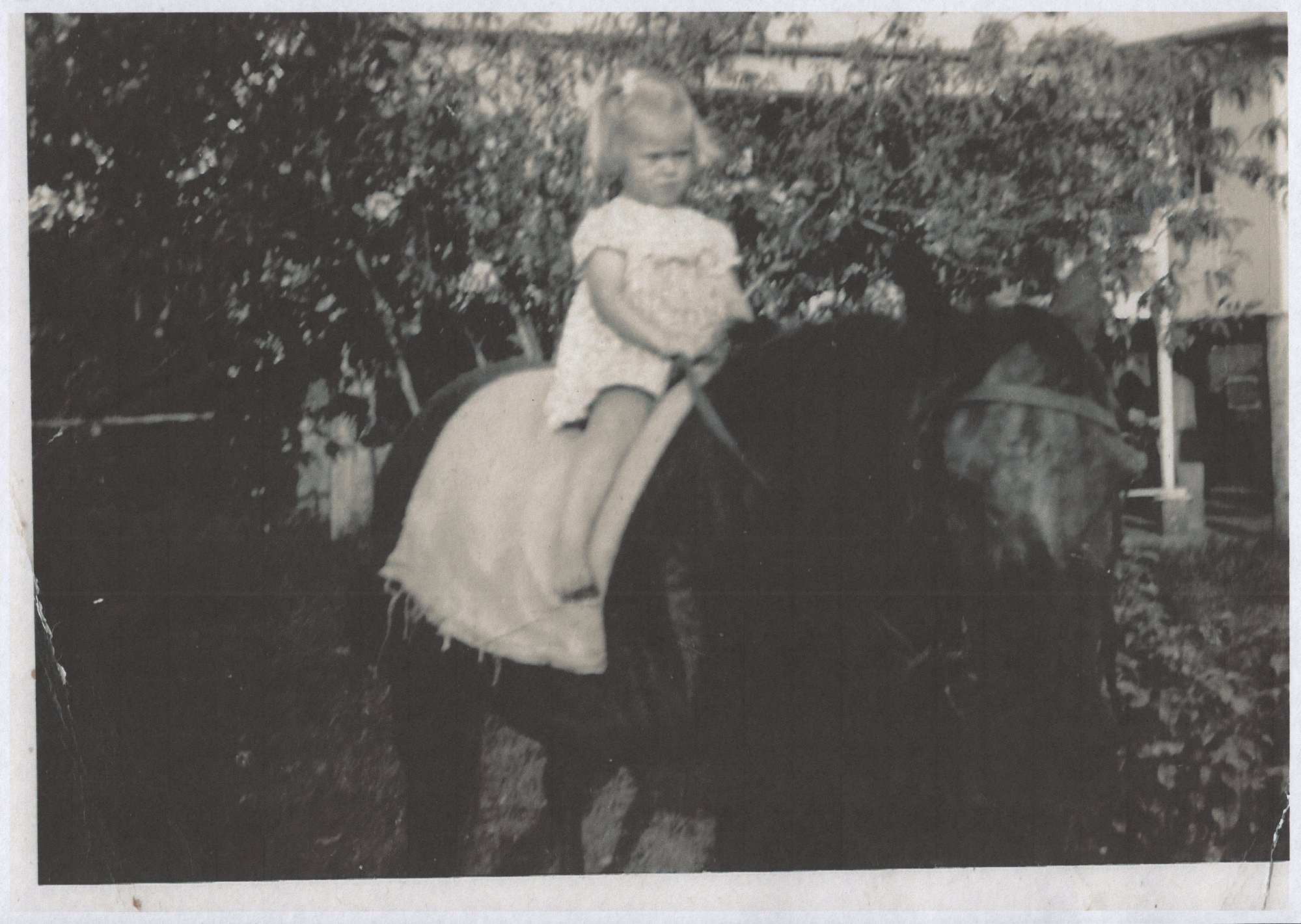 Young girl on horseback