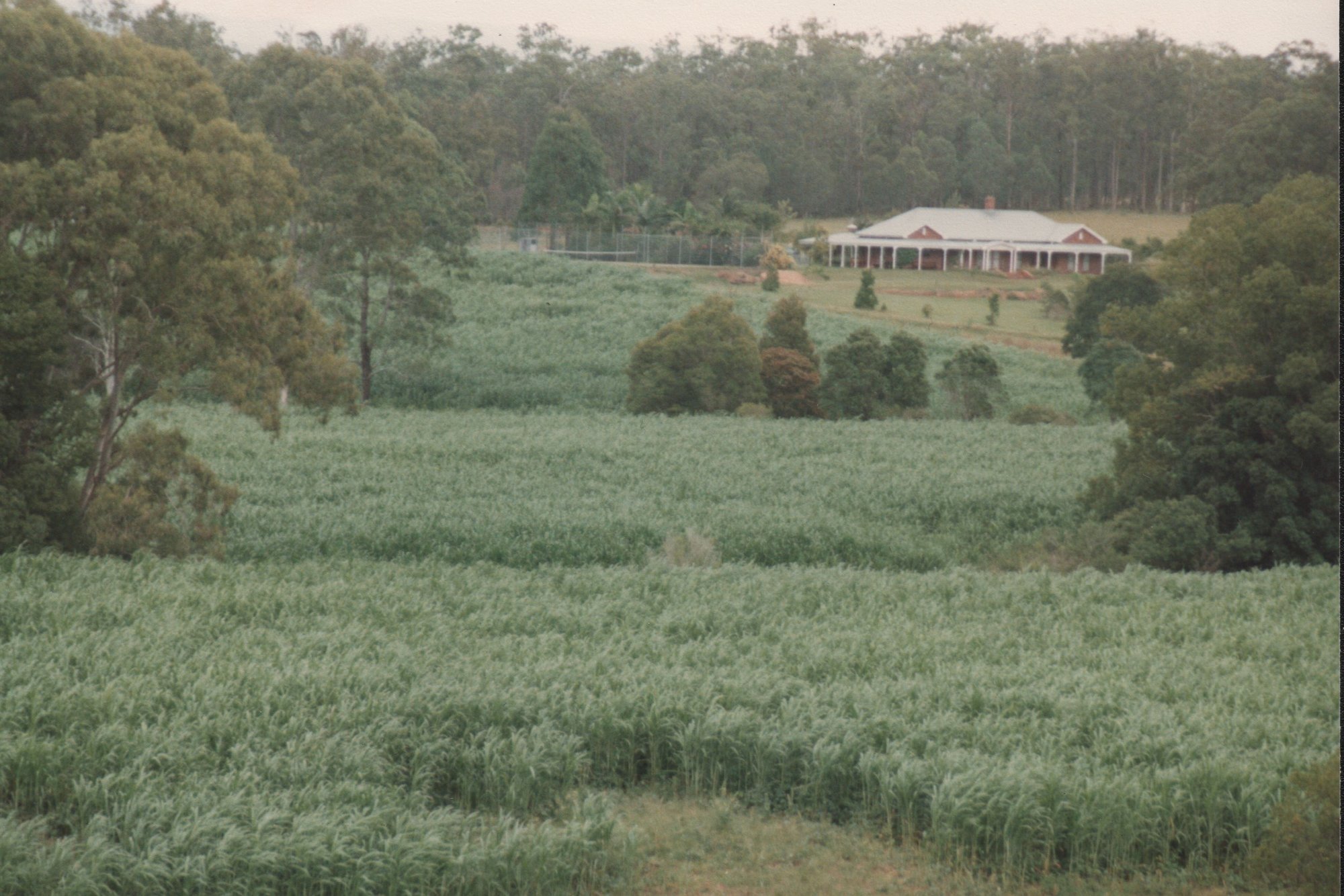 Family home at Narangba