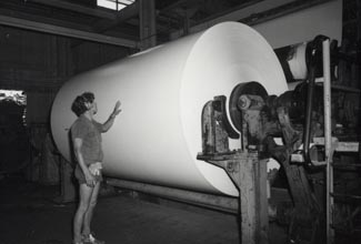 Mill Story