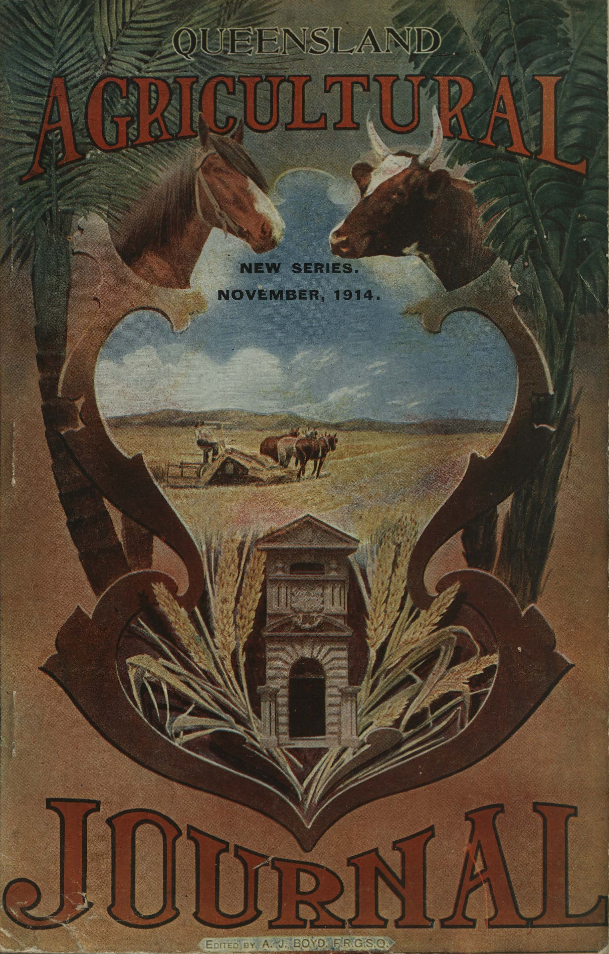 Queensland Agricultural Journal - November 1914