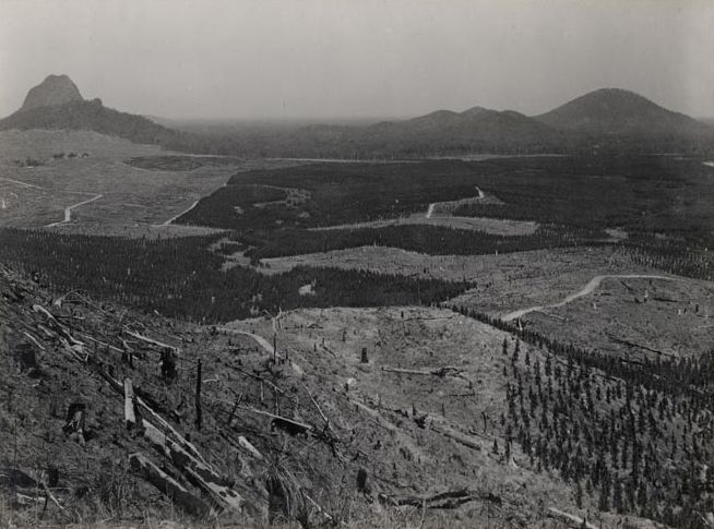 Forestry - View from Fire Lookout