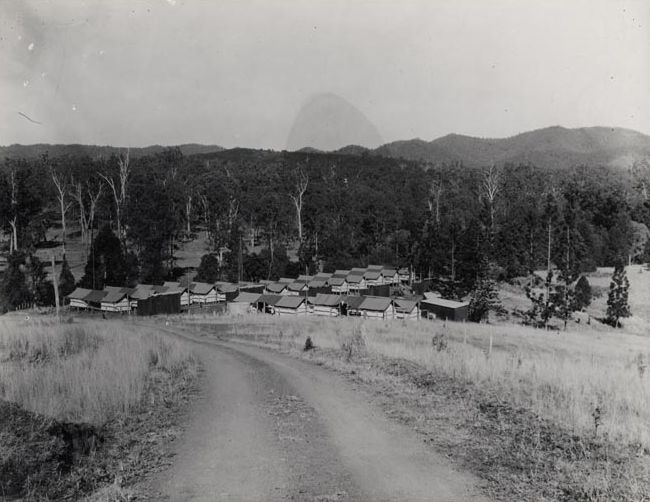 Forestry - Displaced Persons Temporary Camp