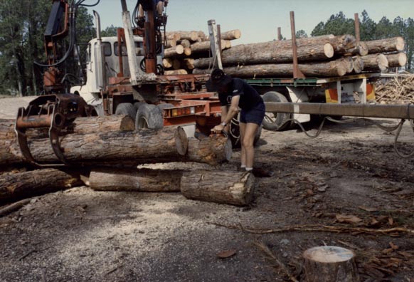 Forestry - Unloading truck at the Morayfield sawmill
