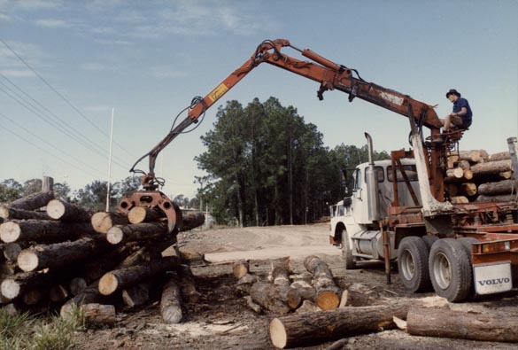 Forestry - Unloading truck at the Morayfield sawmill