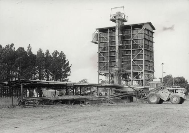 Forestry - Morayfield Sawmill