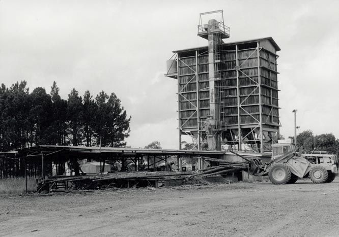 Forestry - Morayfield Sawmill