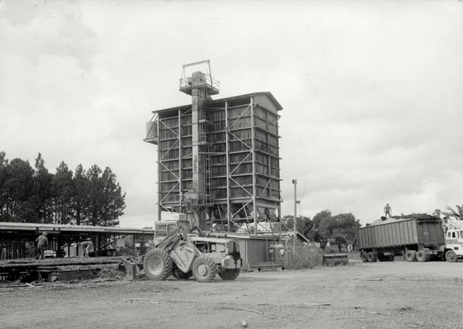 Forestry - Morayfield Sawmill