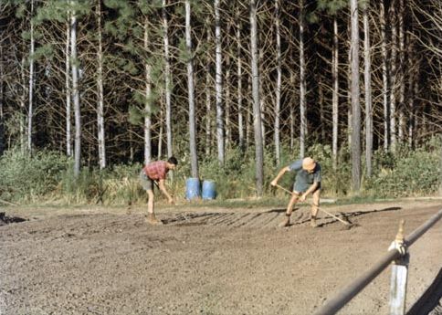 Forestry - Two workers raking out soil