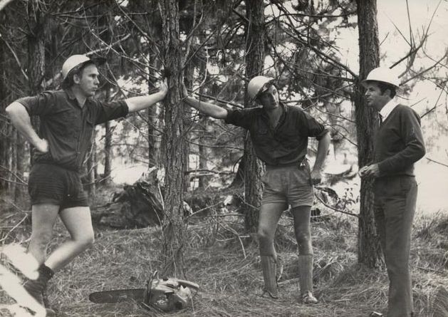 Forestry - Group photograph