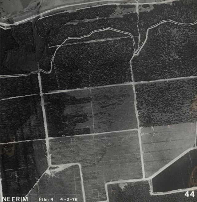 Forestry - Aerial photograph - 4 February 1976