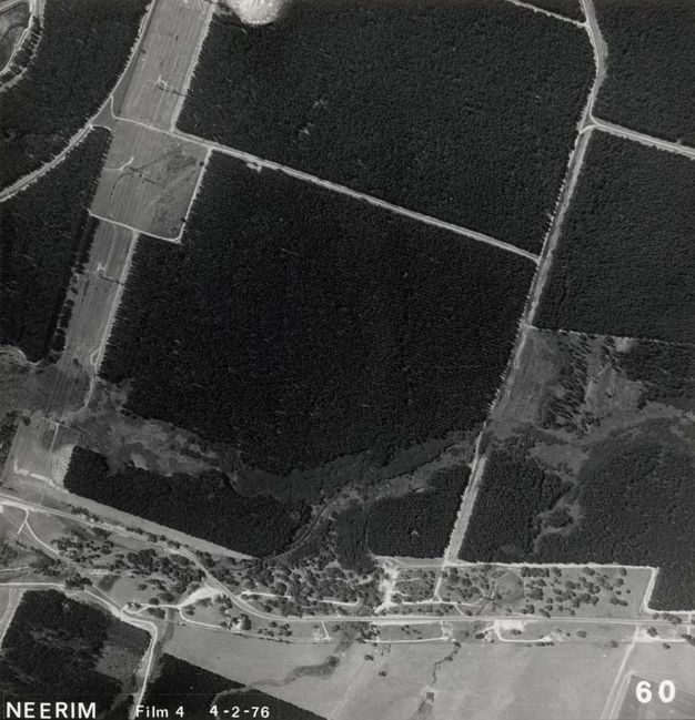 Forestry - Aerial photograph - 4 February 1976