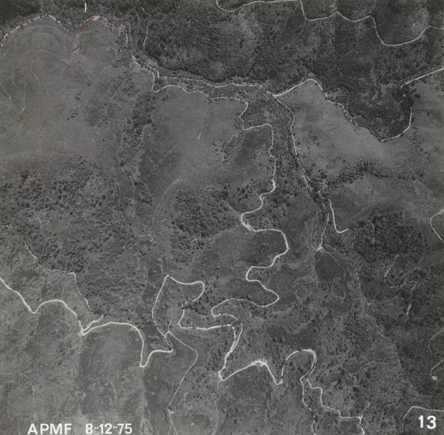 Forestry - Aerial photograph - 8 December 1975
