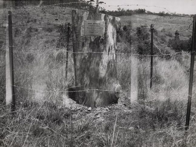 Forestry - Memorial Stump and Plaque for Menvil Wanmuarn