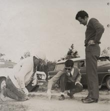 Forestry - Three workers