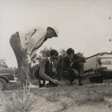 Forestry - Three workers