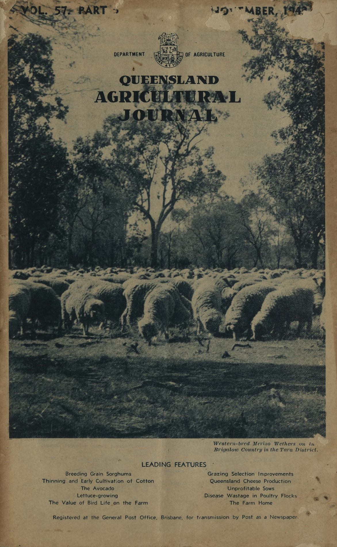 Queensland Agricultural Journal - November 1943