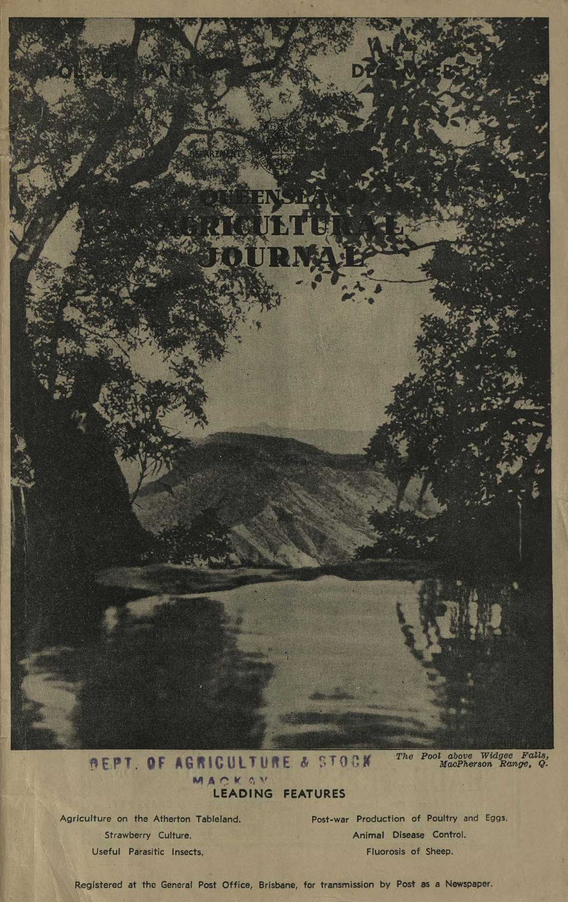 Queensland Agricultural Journal - December 1945