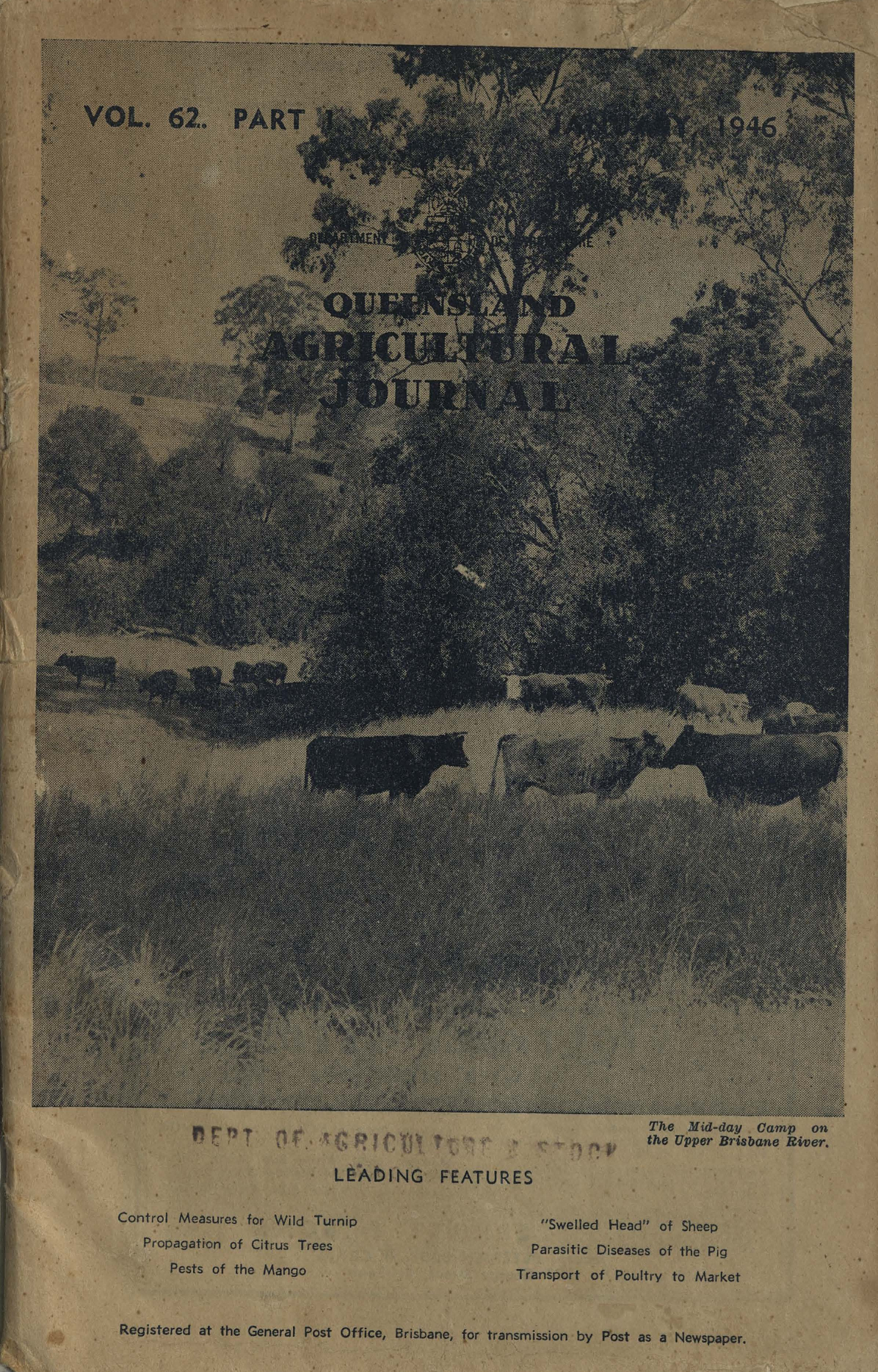 Queensland Agricultural Journal - January 1946