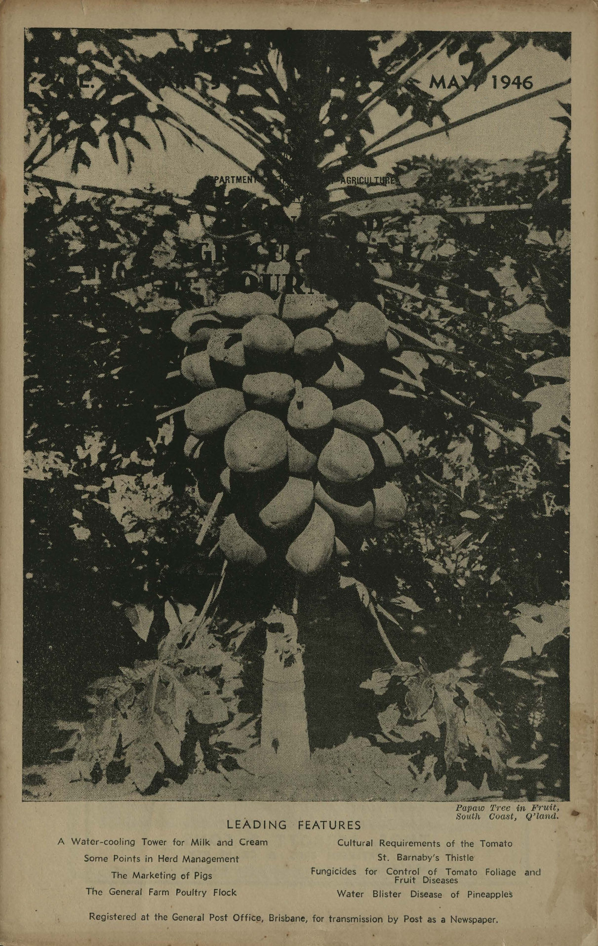 Queensland Agricultural Journal - May 1946