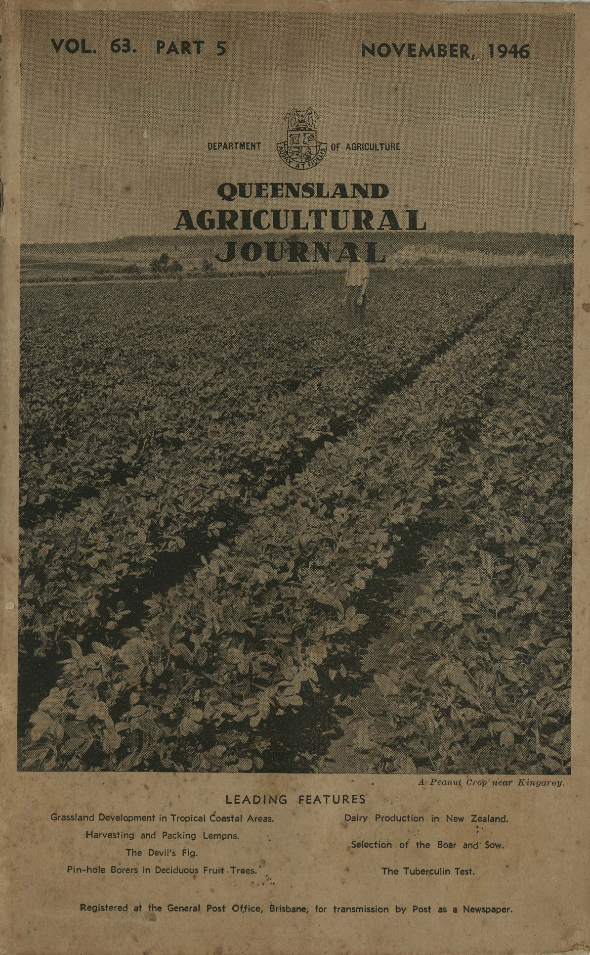 Queensland Agricultural Journal - November 1946
