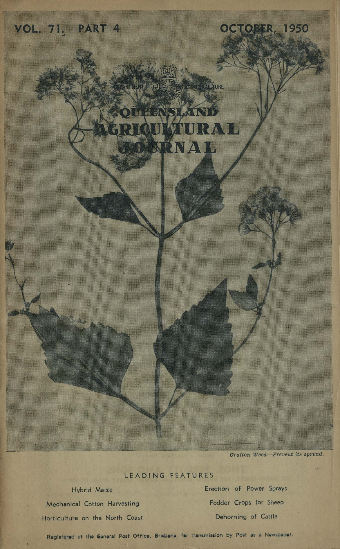 Queensland Agricultural Journal - October 1950