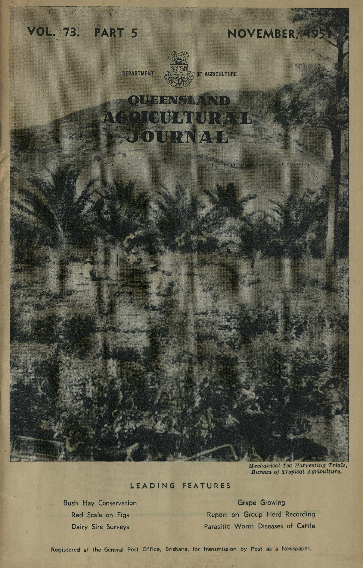 Queensland Agricultural Journal - November 1951