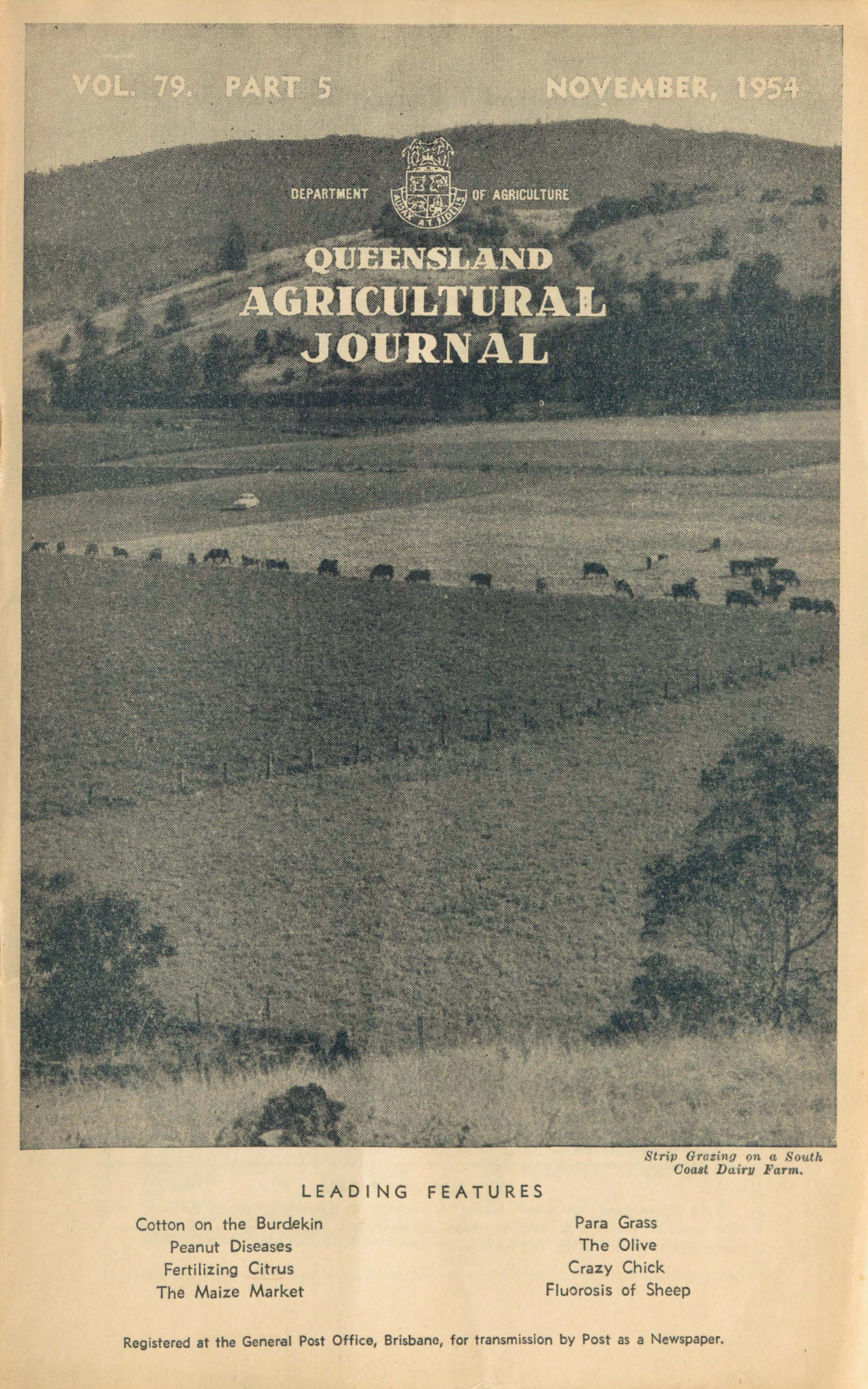 Queensland Agricultural Journal - November 1954