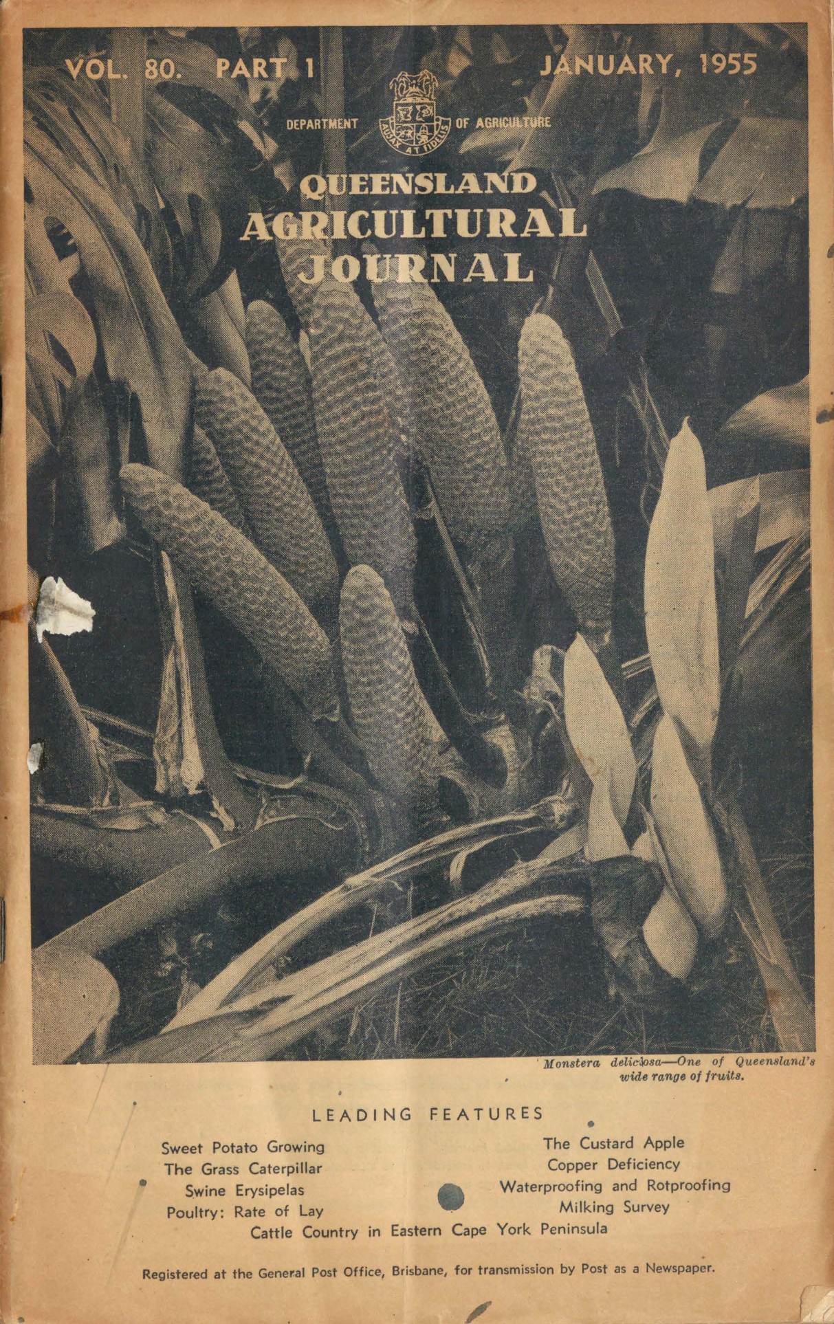 Queensland Agricultural Journal - January 1955