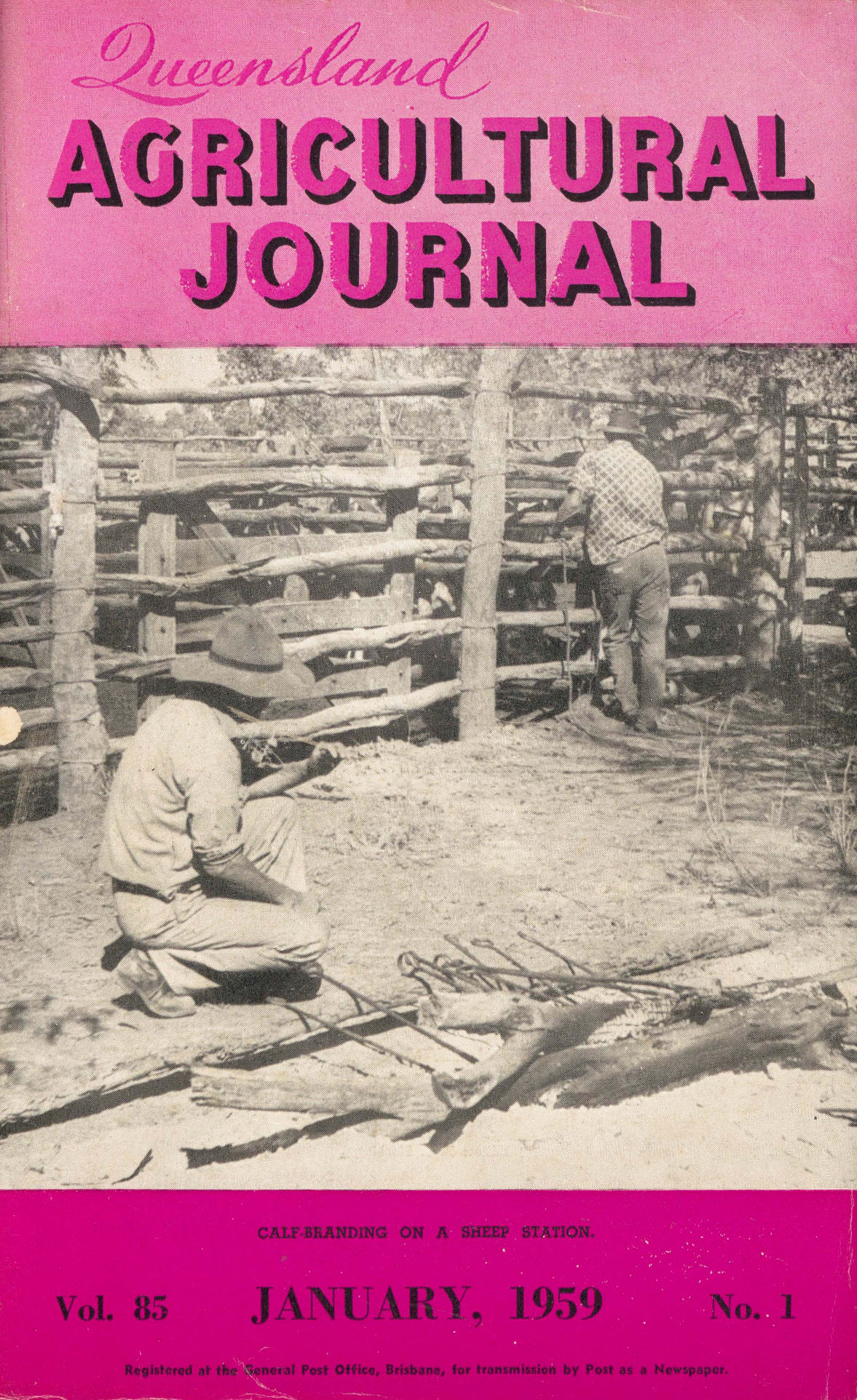 Queensland Agricultural Journal - January 1959