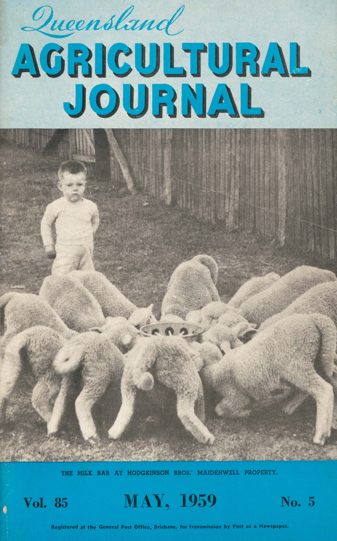 Queensland Agricultural Journal - May 1959